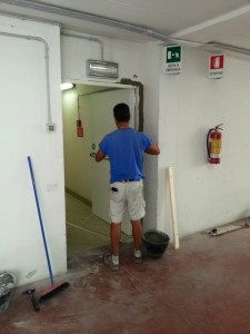 01 taglia